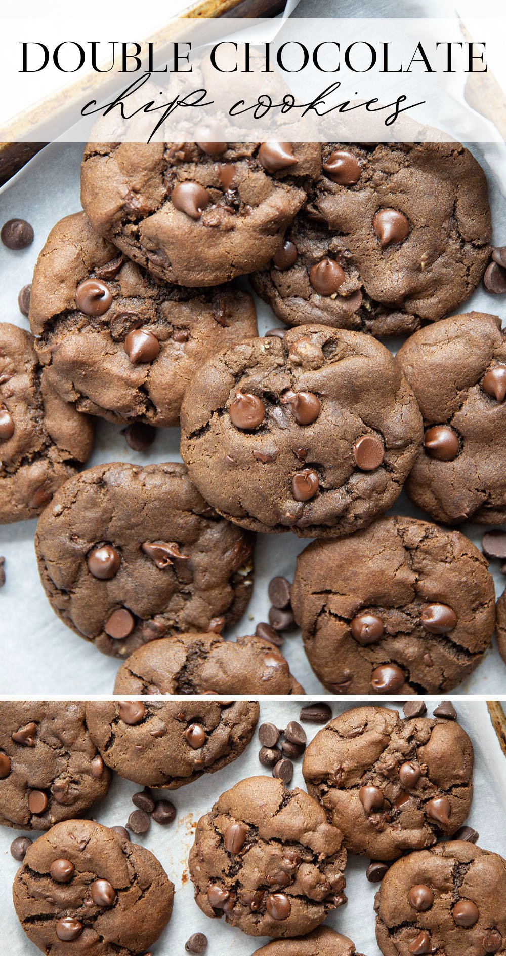 Soft, chewy and loaded to the max with chocolate, these double chocolate chip cookies rival the bakery and are so easy to make at home!