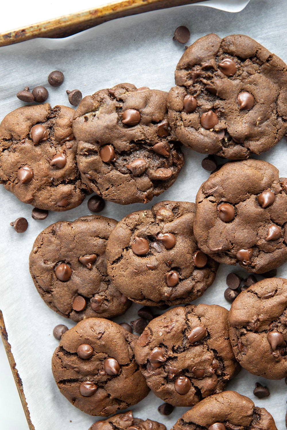 Soft, chewy and loaded to the max with chocolate, these double chocolate chip cookies rival the bakery and are so easy to make at home!