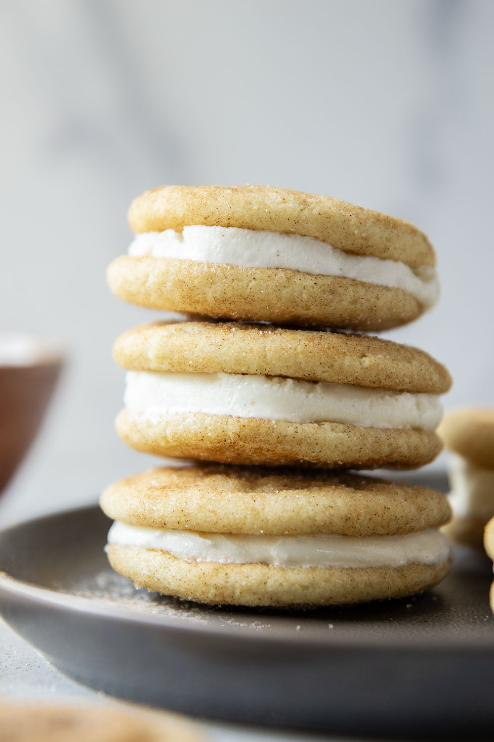 These snickerdoodle ice cream sandwiches feature creamy vanilla ice cream sandwiched between soft homemade snickerdoodles to create the ultimate frozen treat.