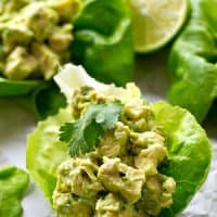 Chicken salad lettuce wraps lightened up with healthy avocado and NO mayonnaise at all! These wraps are going to quickly become a lunch favorite.