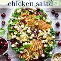 Roasted cherries, juicy spice-rubbed chicken, and a fresh and flavorful basil lemon dressing make for a dream summer salad in this showstopper cherry chicken salad!
