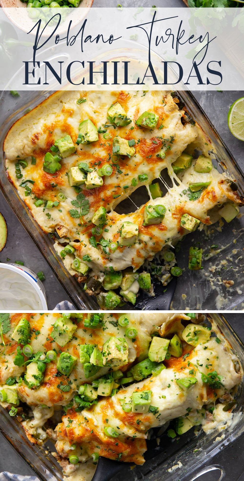 Flavorful poblanos and ground turkey make up a hearty filling in these ground turkey enchiladas that bake up with a cheesy white enchilada sauce on top and lots of toppings.